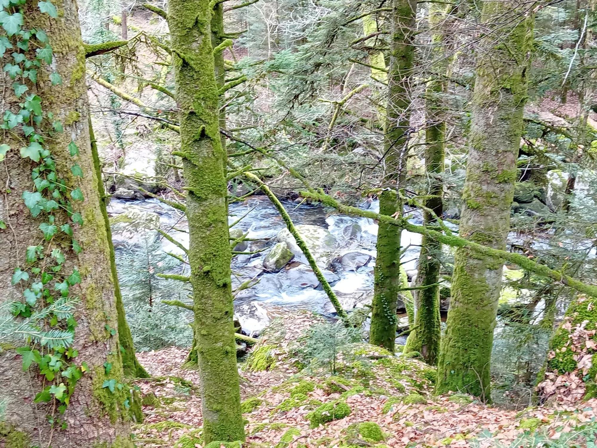 Gite Evasion Correzienne Seilhac Extérieur photo